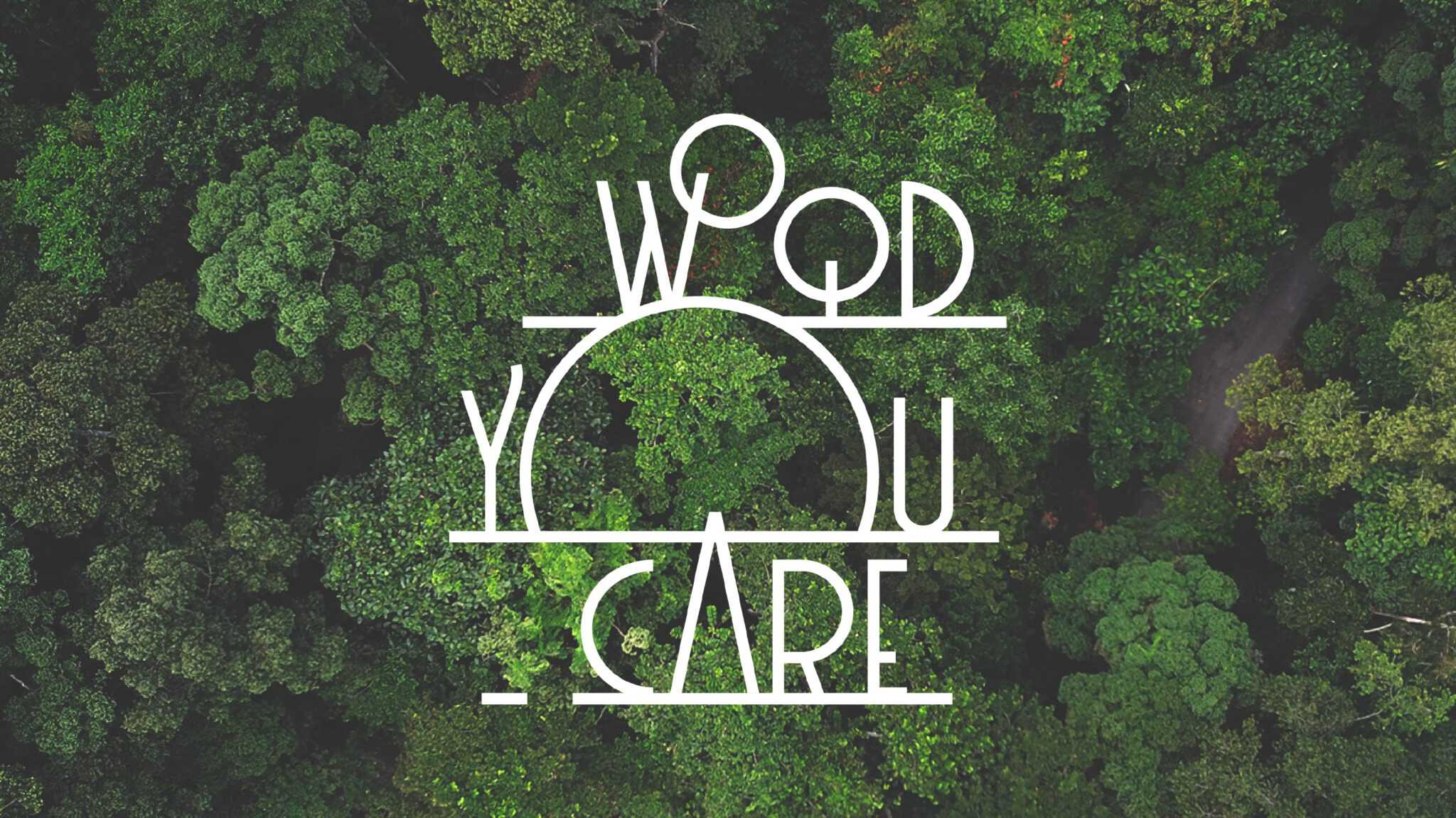 Plant een boom met Space to Create | Samenwerking Wood You Care